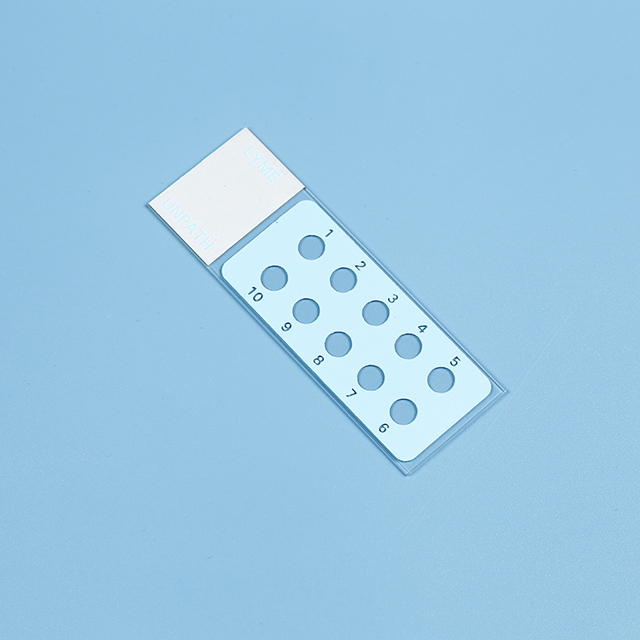 Immunofluorescence assay (IFA) slides Buy Huida Diagnostic Slides