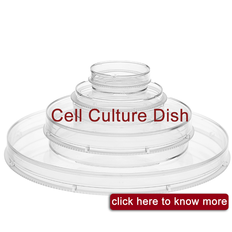 cell culture dish