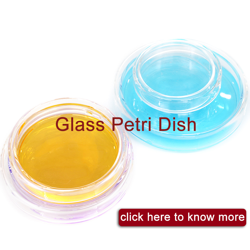 glass Petri dish
