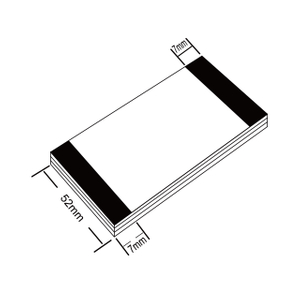 Large Sized Microscope Slide