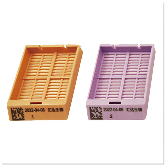 微信图片_20250617161049