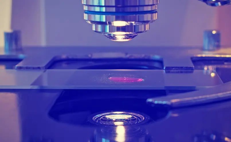 Plain Microscope Slides on a 30-Day Lead Time